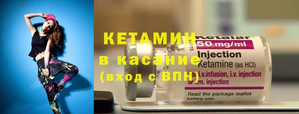 индика Арсеньев