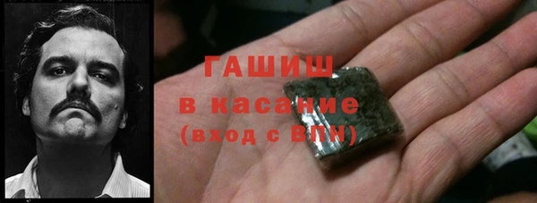 индика Арсеньев