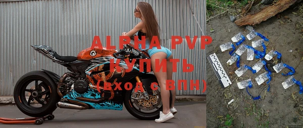 индика Арсеньев