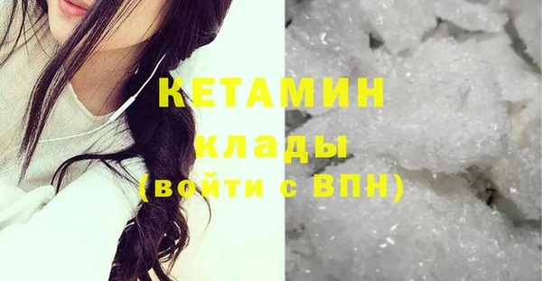 индика Арсеньев