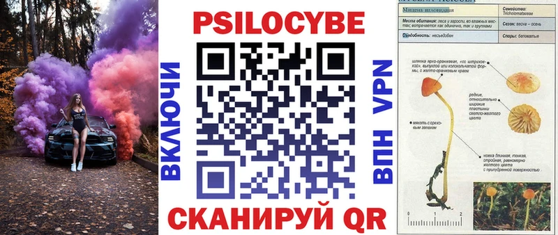Псилоцибиновые грибы мухоморы Бабушкин